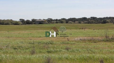 CáceresTerreno, imagen 5