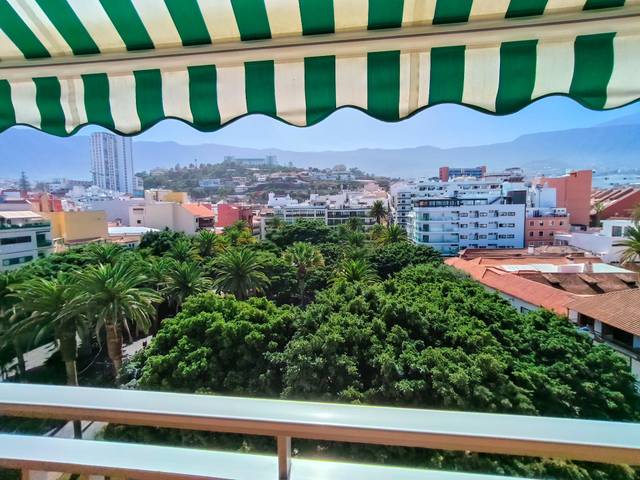 Estudio en Alquiler en Calle MARINA en Playa Jardín