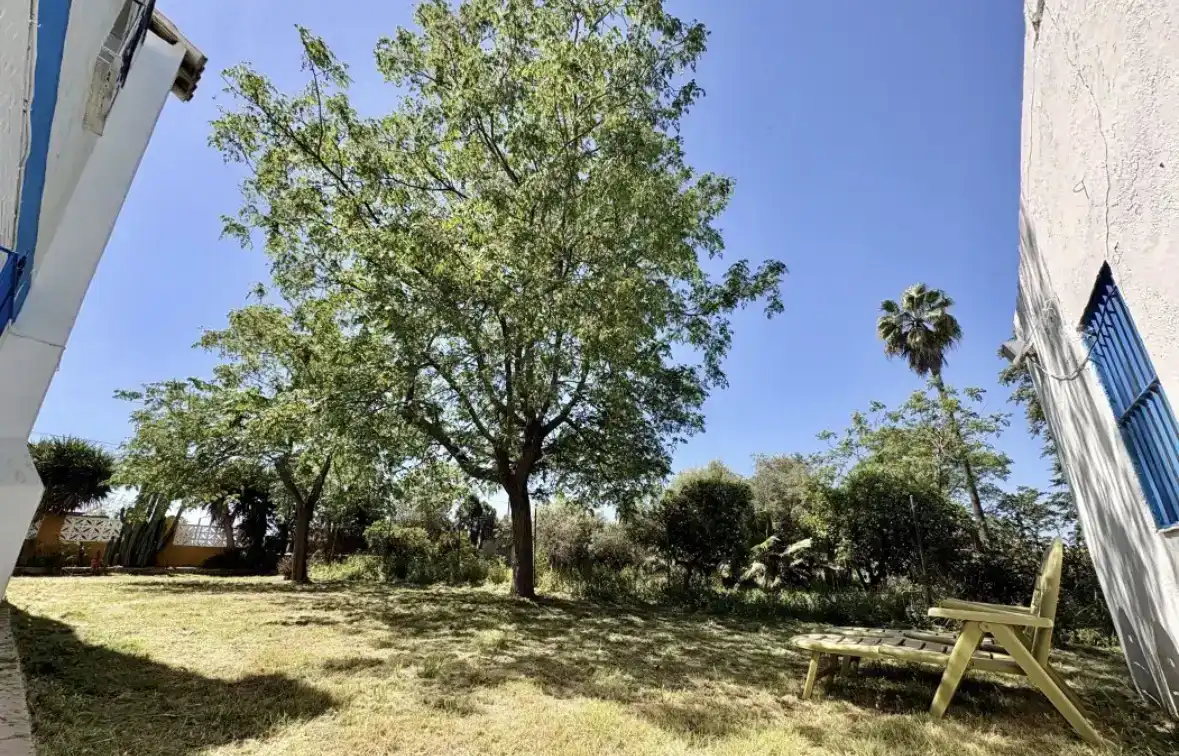 Casa o xalet en venda en Carmona amb Aire condicionat, Jardí privat i Traster