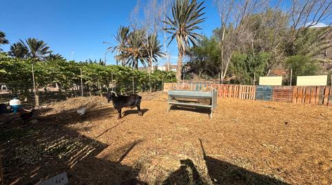 Photo 4 of Country house for sale in N/a, La Lajita, Las Palmas