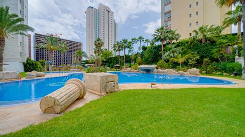 Foto 3 de Apartament de lloguer a Calle Terral, Cala Palmera - Atrium, Alicante