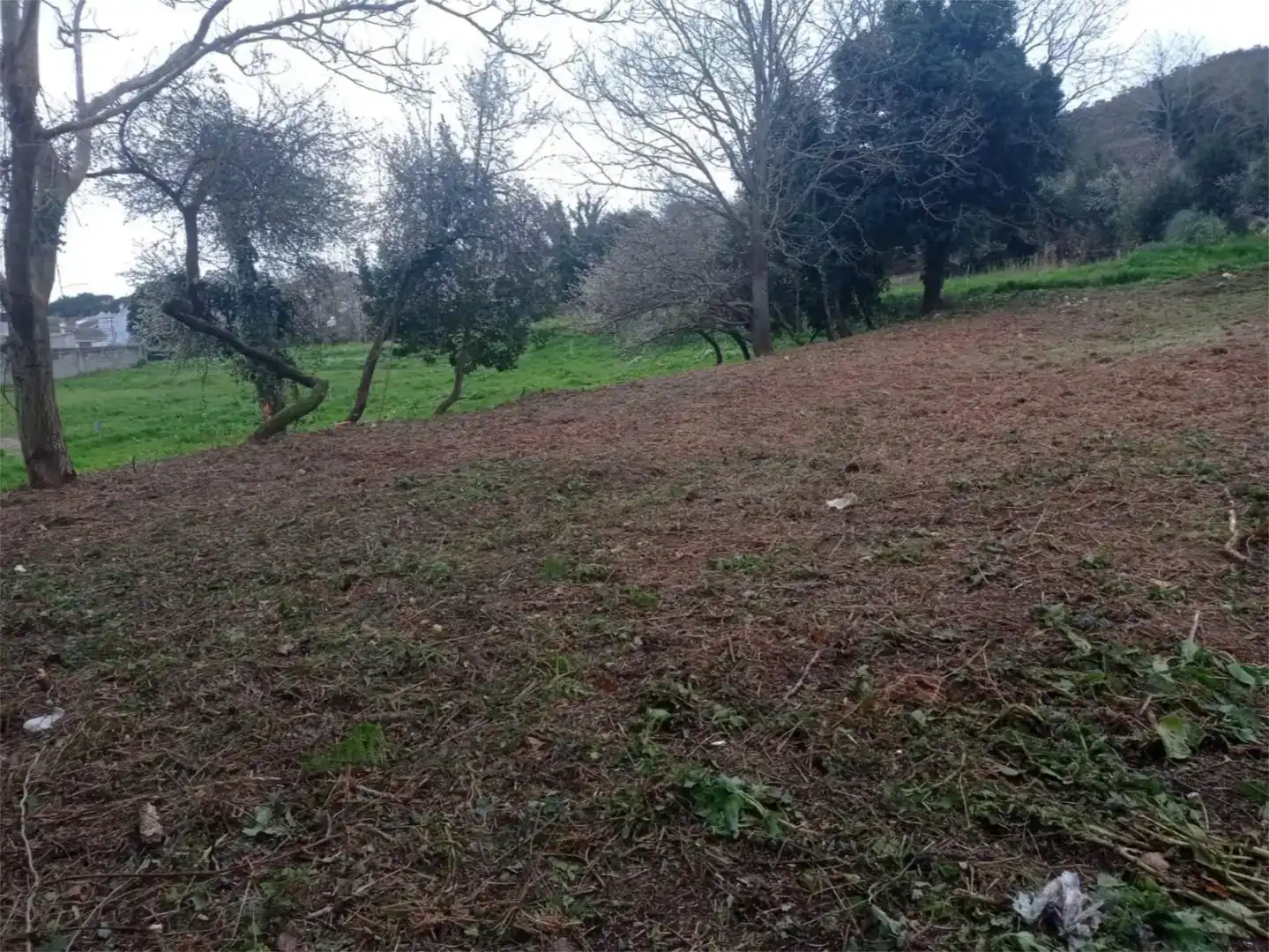 Residencial en venta en Viveiro