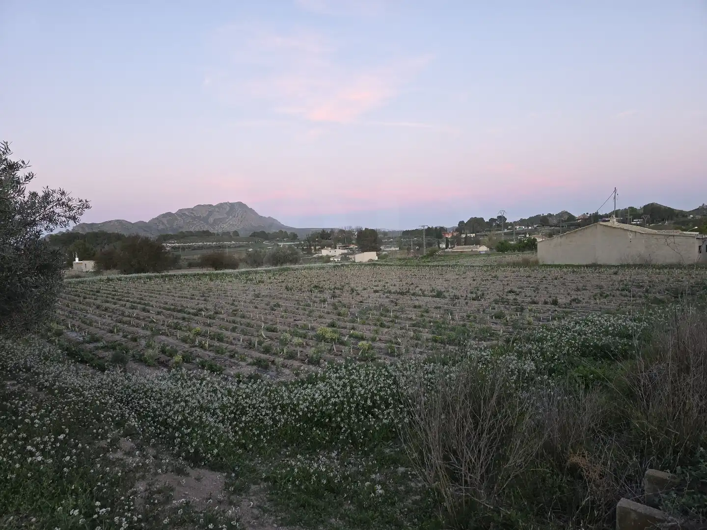 Terreny rústic en venda a Calasparra, imagen 6