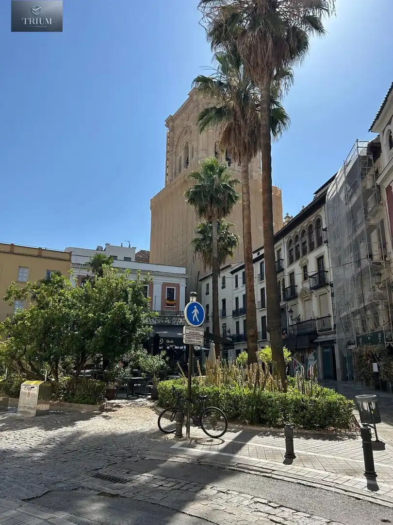 Vista exterior de Apartament de lloguer en Granada amb Traster, Moblat i Balcó