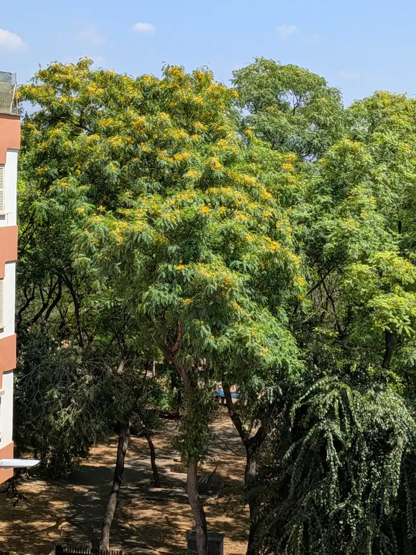 Jardín de Piso en venta en  Palma de Mallorca con Trastero y Balcón
