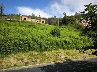 Wohnbaugrundstück zum Verkauf in Paseo Maritimo
