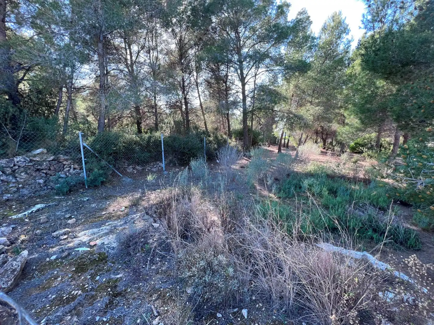 Terrenos y solares en venta en La Vall d'Uixó, imagen 11