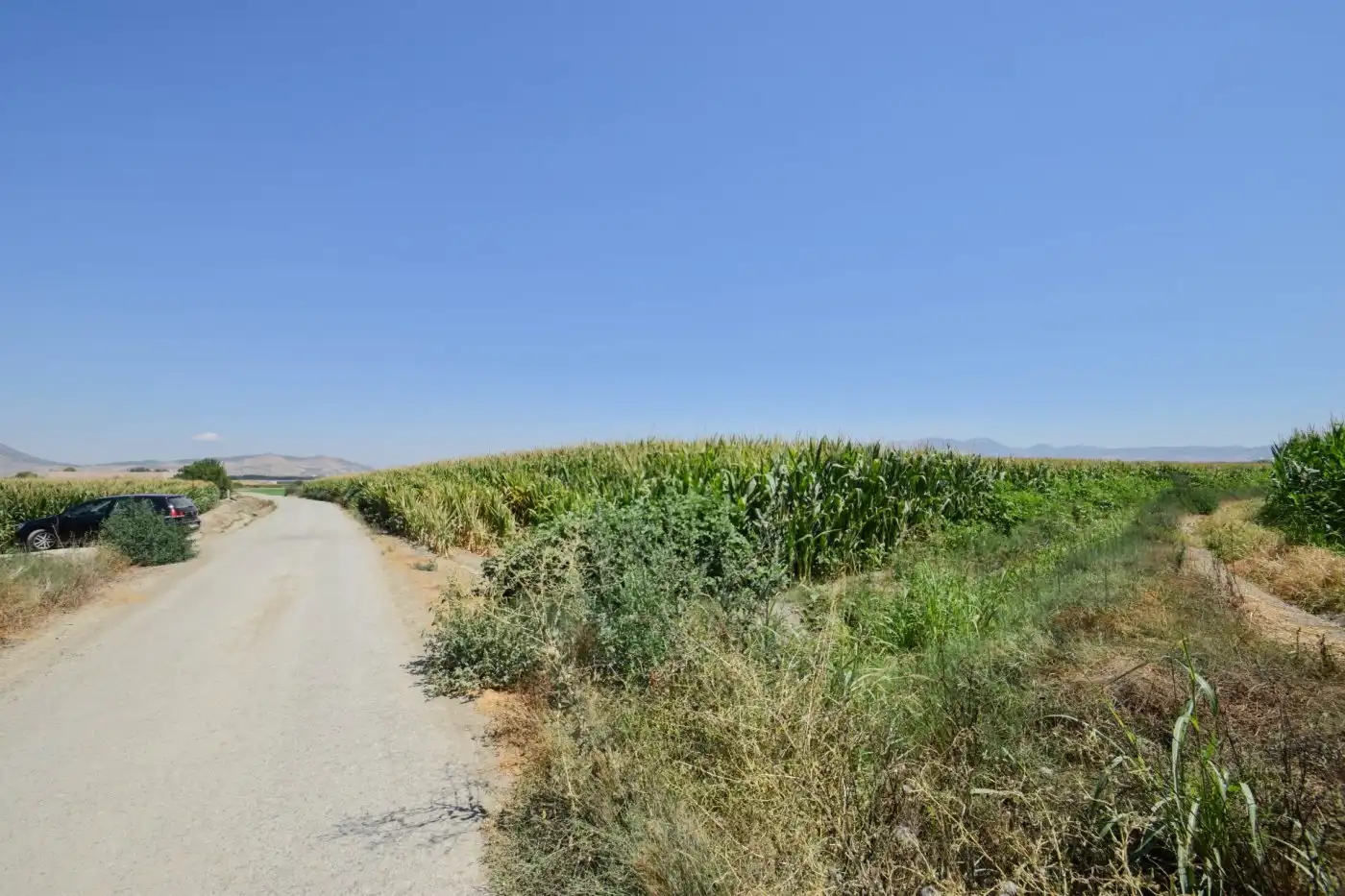 Rural land for sale in Camino PRADOS, imagen 6