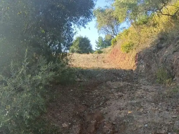 Terreno en venta en Marbella