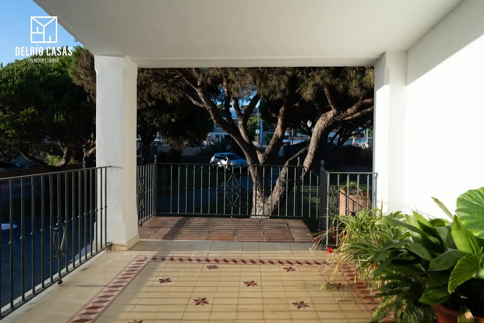 Terraza de Casa o chalet de alquiler en Mazagón