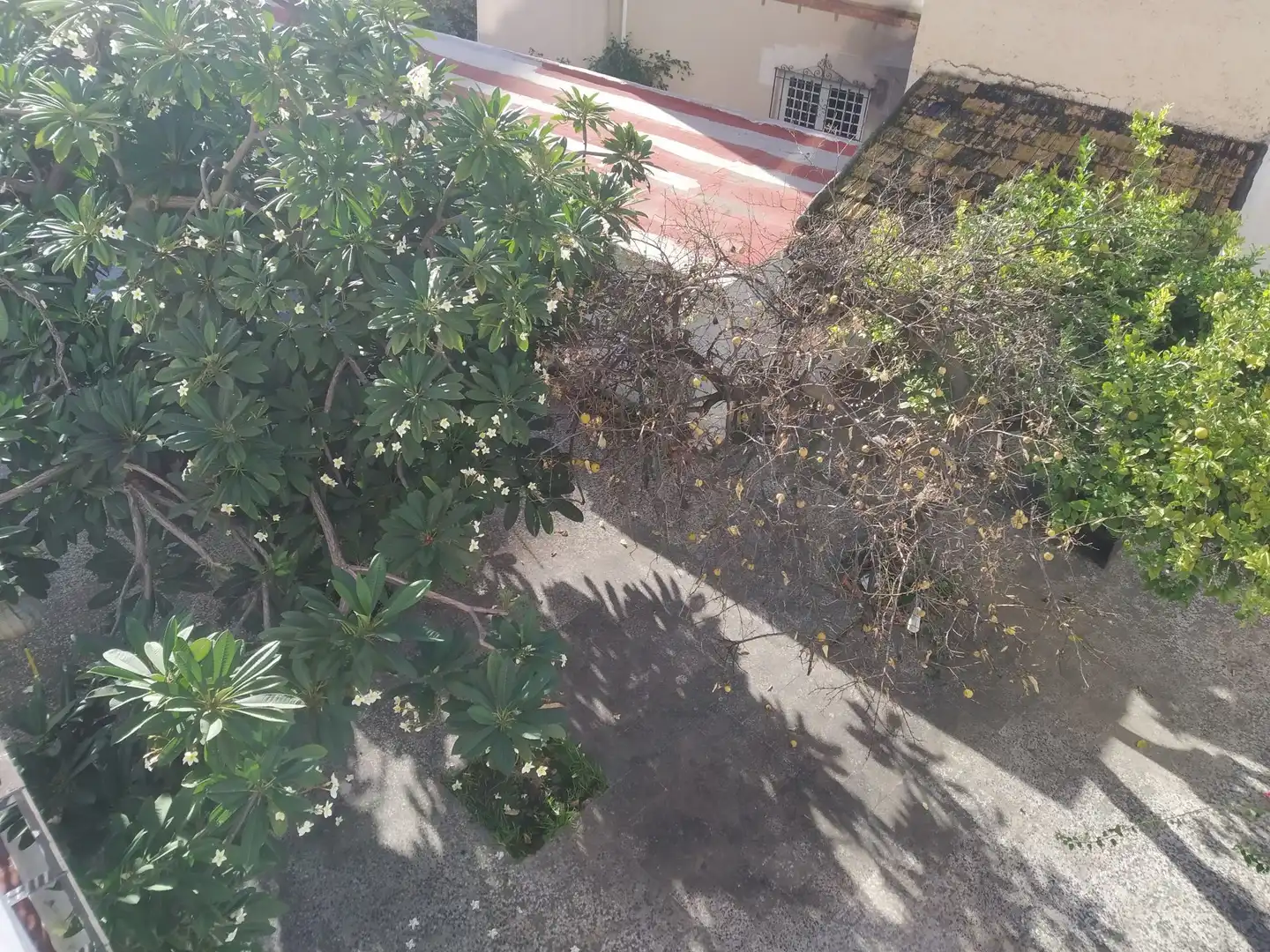 Maison à vendre à Conde de Ureña, imagen 8