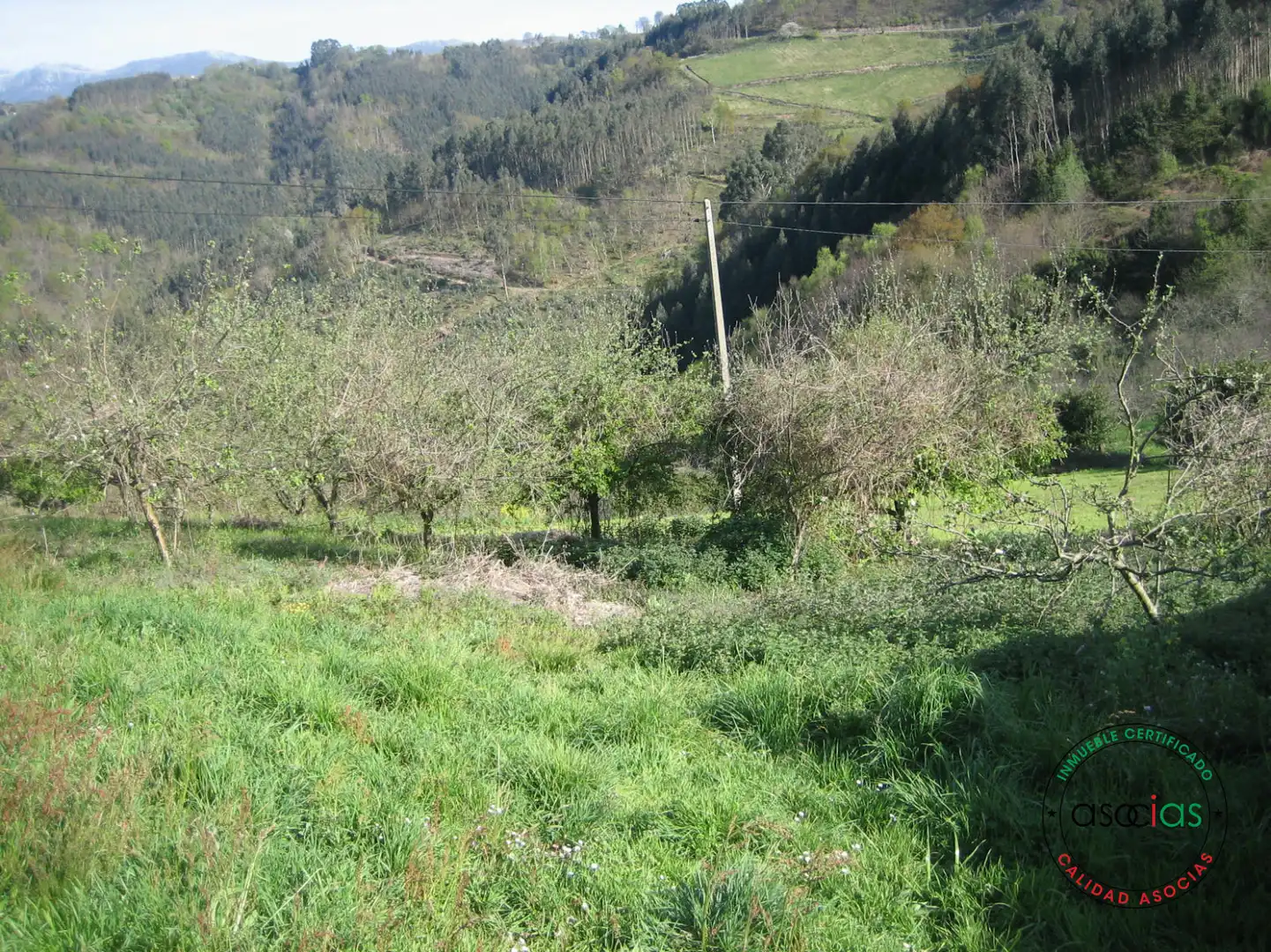 Terreno rustico in vendita a C/ Breceña Km 332, imagen 3