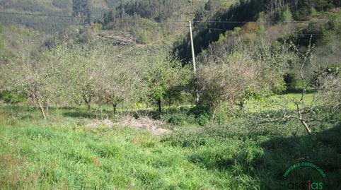 Foto 3 de Residencial en venda a C/ Breceña, Km 33, Parroquias surorientales, Asturias