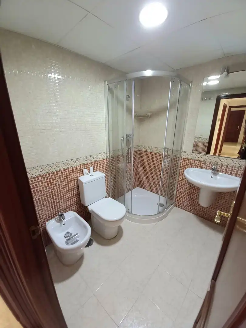 Bathroom of Flat for rent in Poniente-Sur