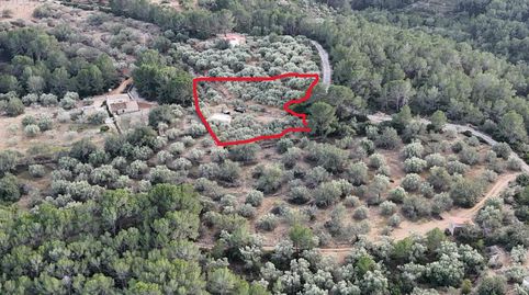 Foto 3 de Finca rústica en venta en El Perelló, Tarragona