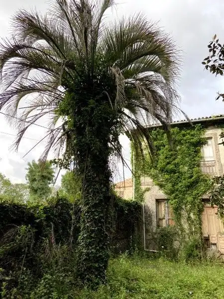 Casa in vendita a Ponteareas, imagen 46