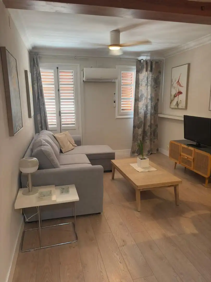 Sala de estar de Apartamento de alquiler en Valencia con Aire acondicionado y Amueblado