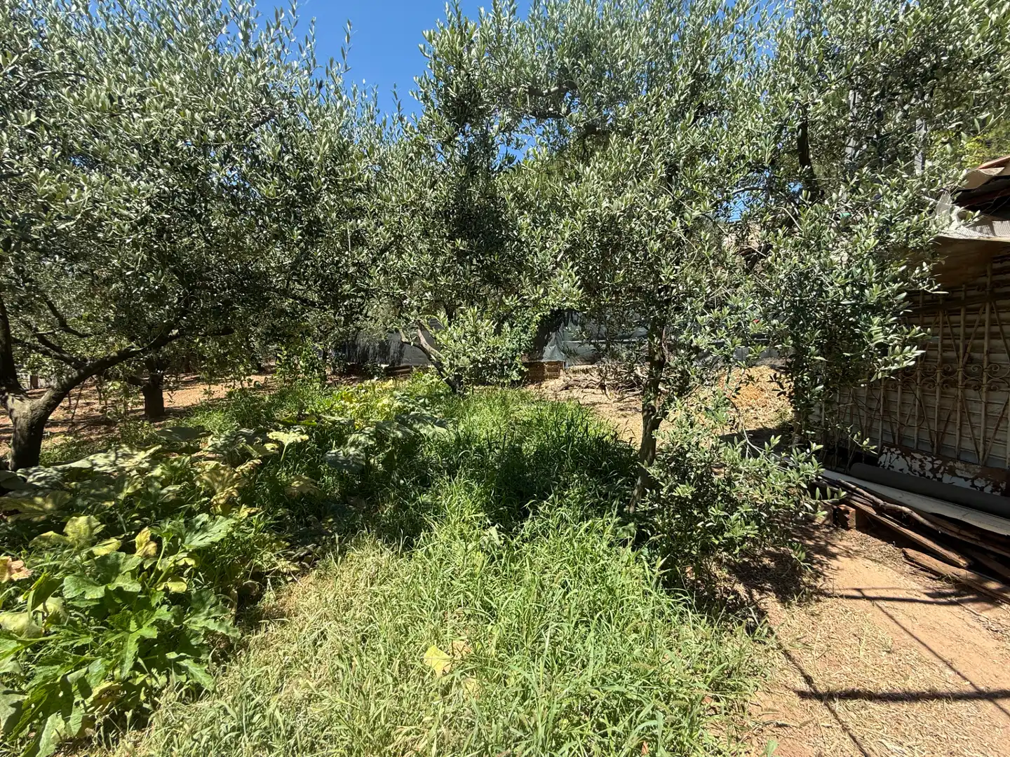 Rustikales Grundstück zum Verkauf in El Camí de Vila-seca 28