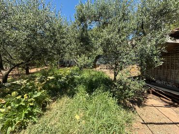 Terreno rustico in vendita a El Camí de Vila-seca 28