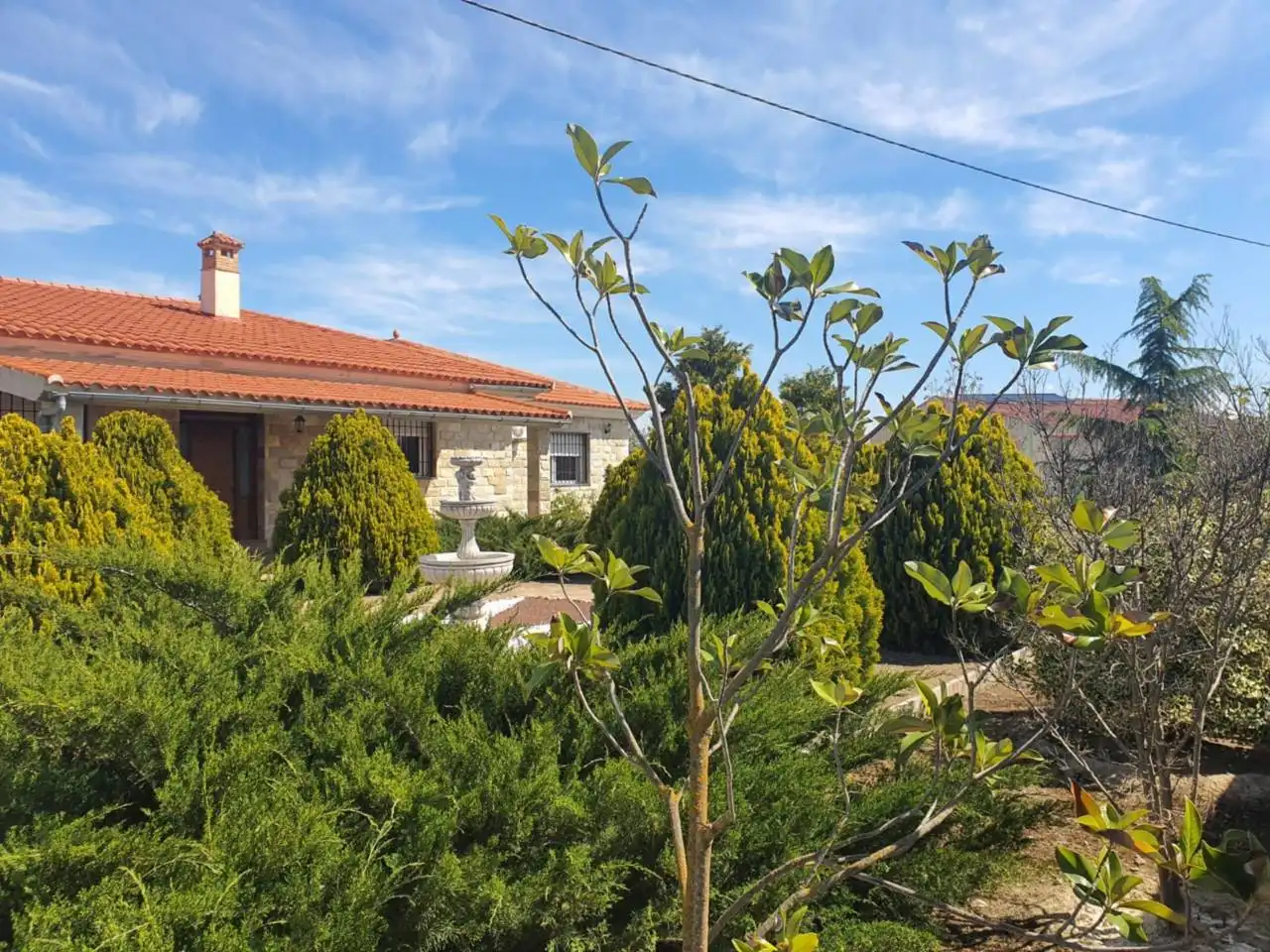 Chalet en venta en Baza, imagen 12