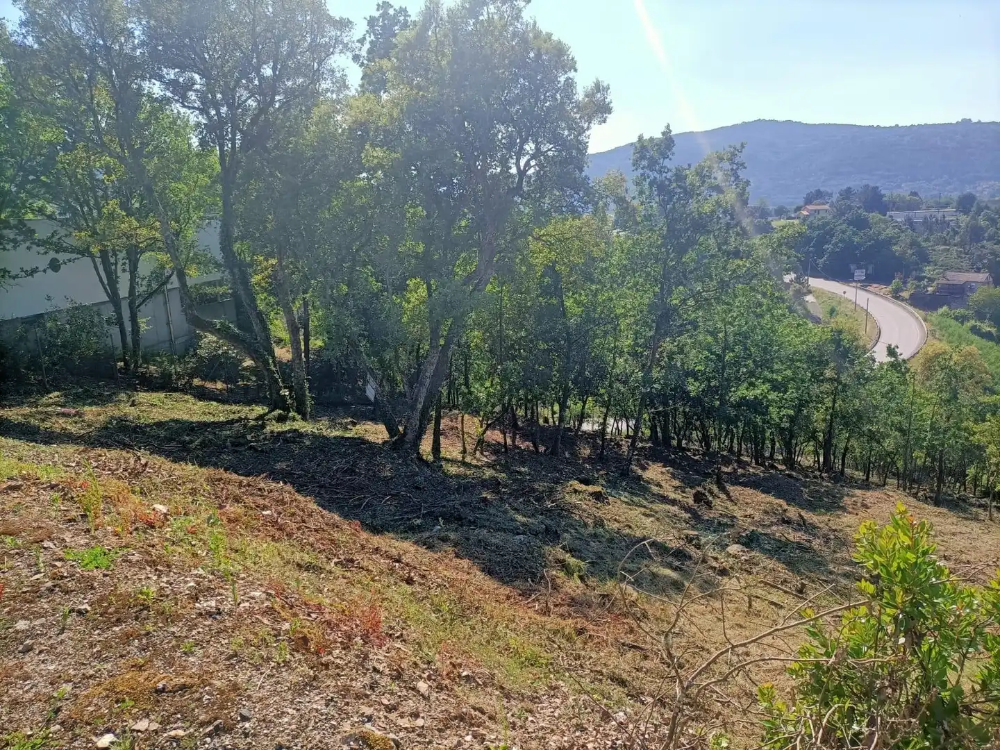 Terreni e lotti in vendita a San Rosendo, imagen 4