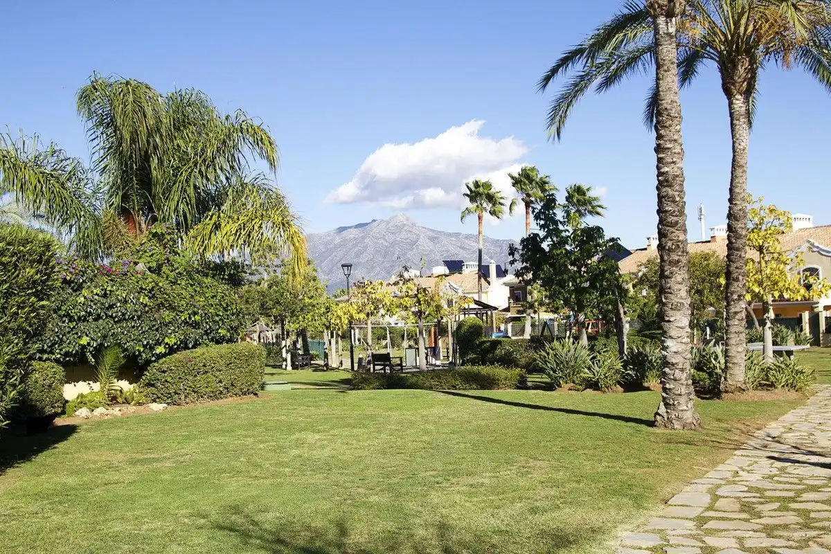 Detached homes for rent in Guadalmina Alta