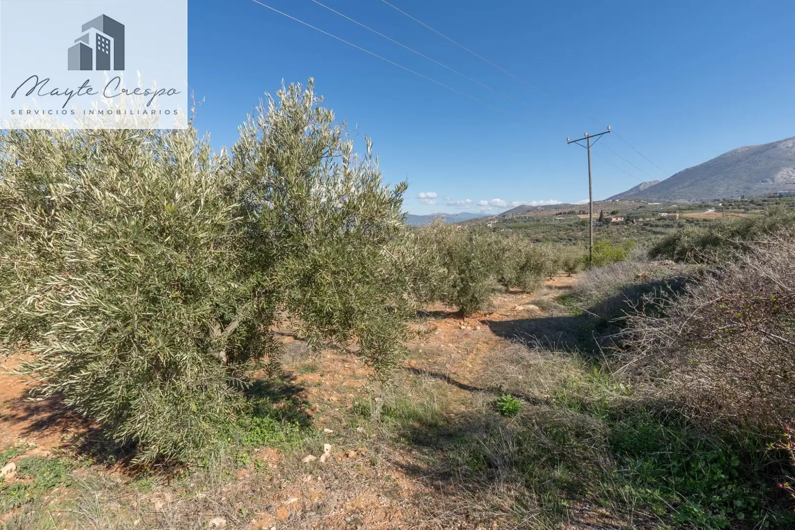 Terreni e lotti in vendita a Cogollos de la Vega, imagen 12