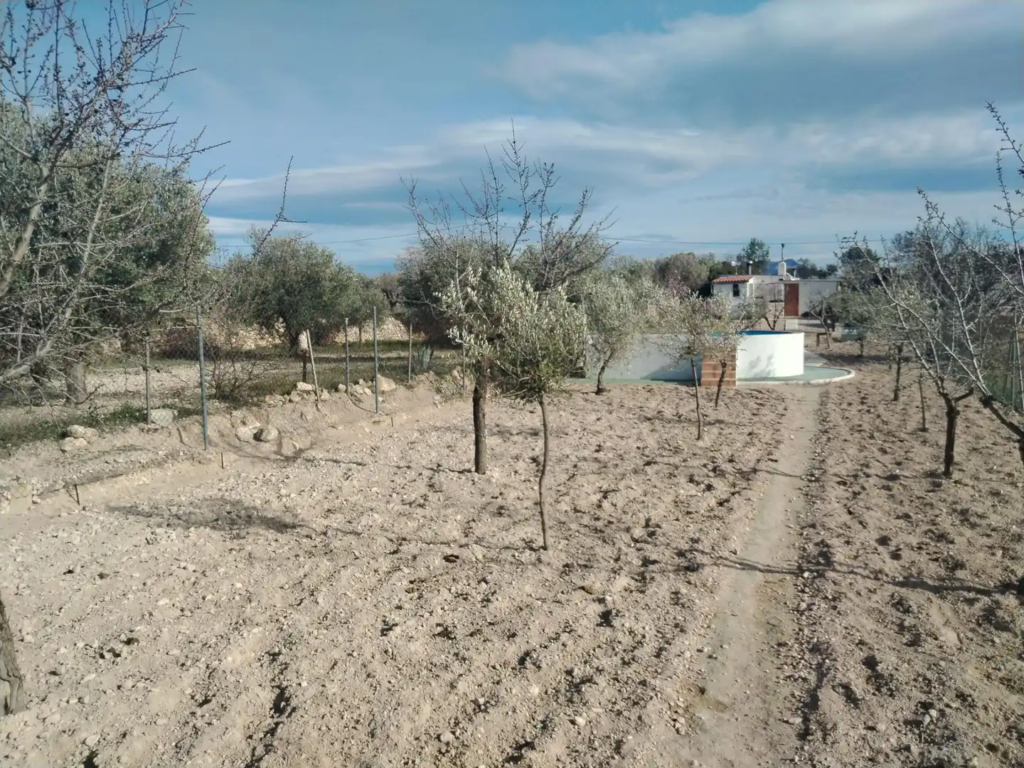 Terreny rústic en venda a Partida de Castalla a Saix, imagen 2