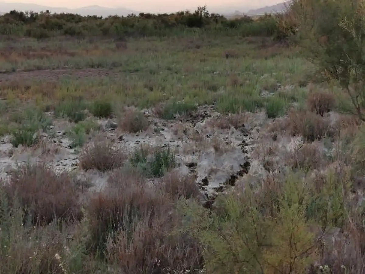 Terreno rustico in vendita a Camino LOS HUERTOS, imagen 42