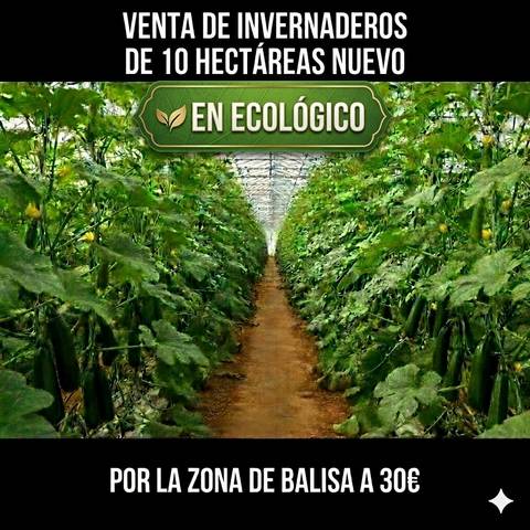 Terreno en Venta en N/A, -1 en Níjar pueblo
