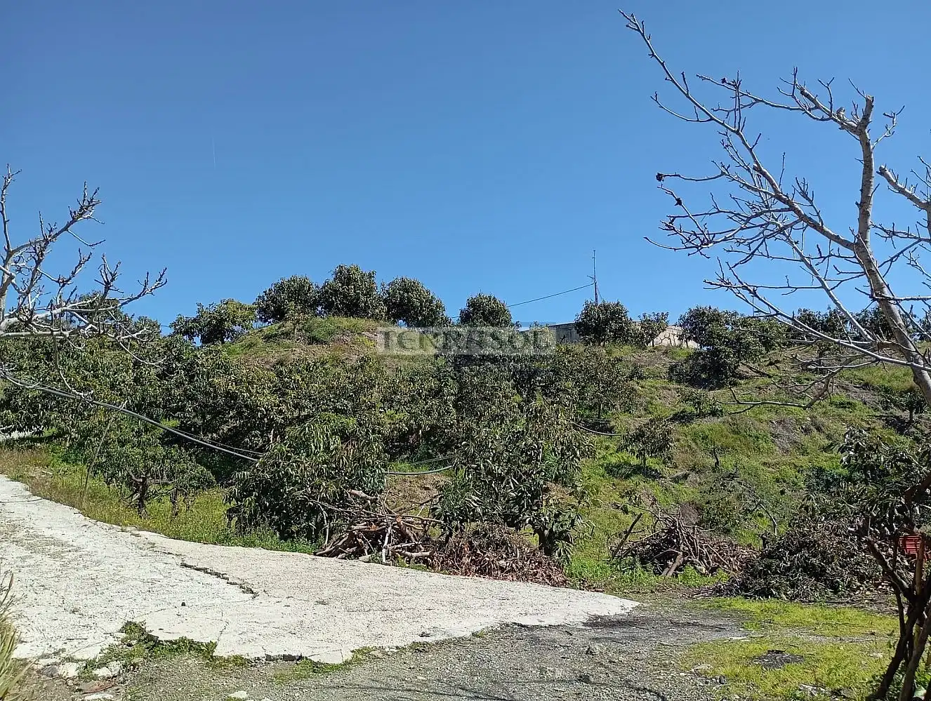 Grundstücke und Bauplätze zum Verkauf in Vélez-Málaga ciudad, imagen 21