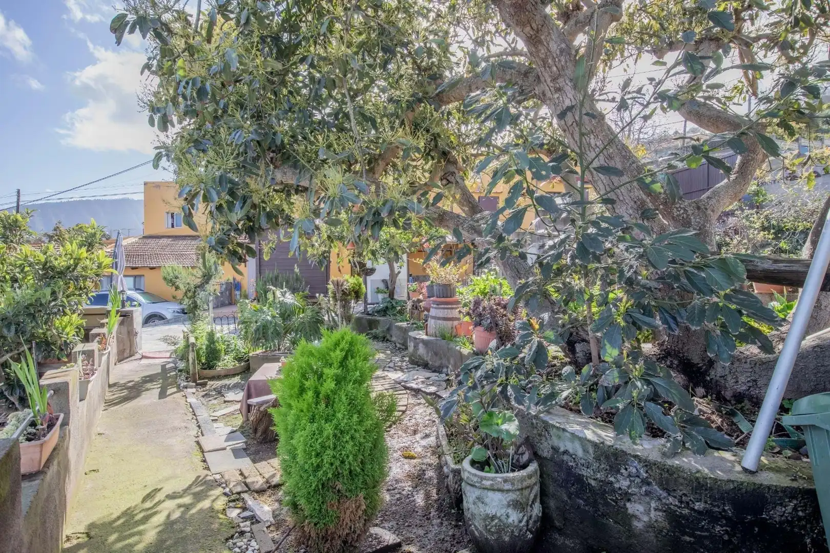 Jardí de Casa adosada en venda en La Orotava