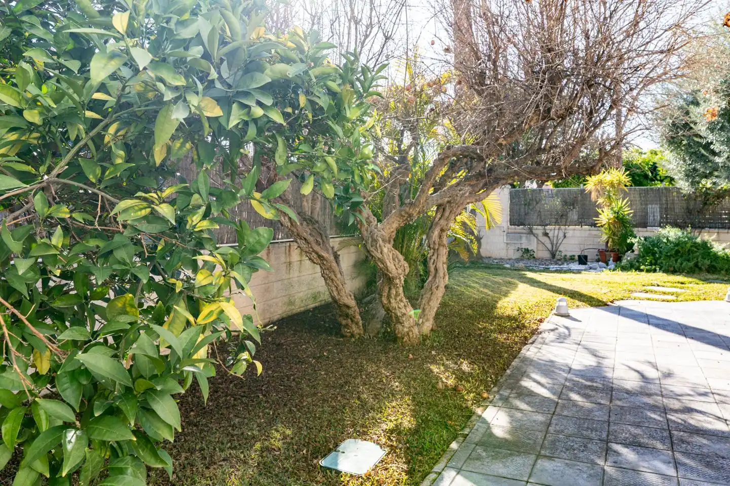 Casa con piscina en venta en Jose Antón Agullo, imagen 70