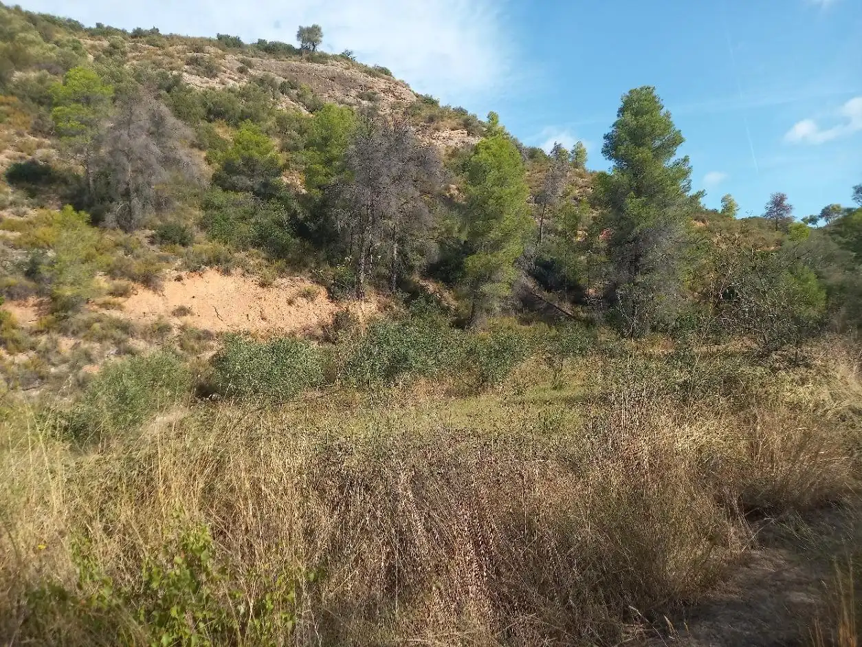 Terreno en venta en La Torre de l'Espanyol