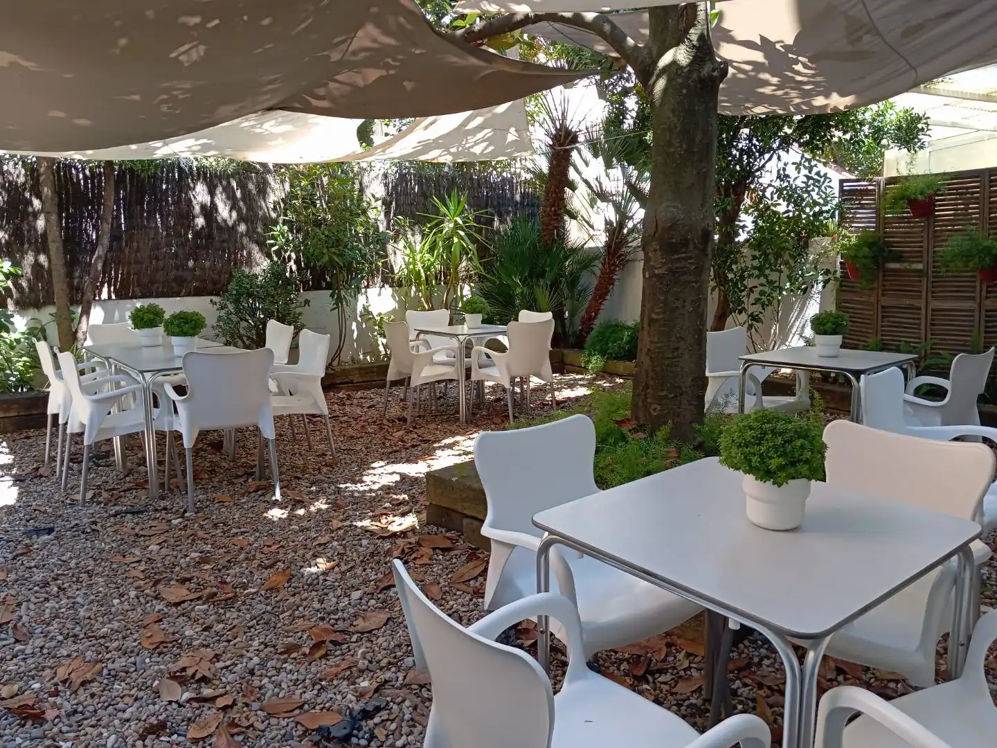 Business premises for transfer in Carrer Gran 8, imagen 4