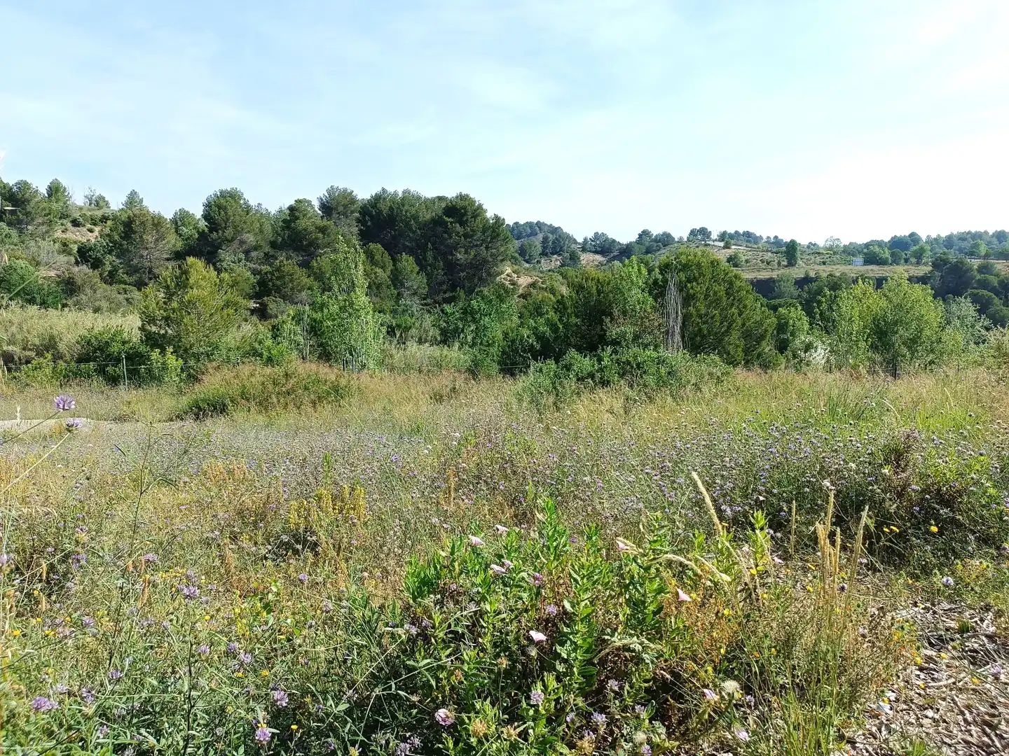 Terreno residencial en venta en Sant Esteve Sesrovires, imagen 7