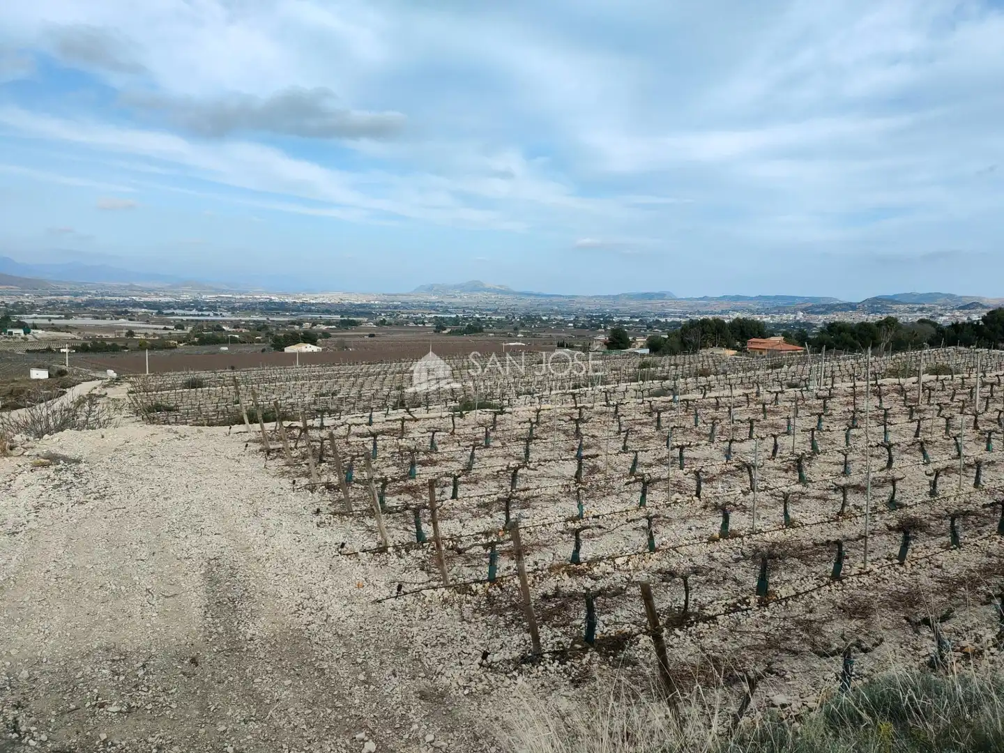 Terreno residenziale in vendita a Pedanías Oeste, imagen 7