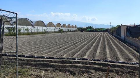 Foto 5 von Grundstücke zum Verkauf in Playa de Granada, Motril