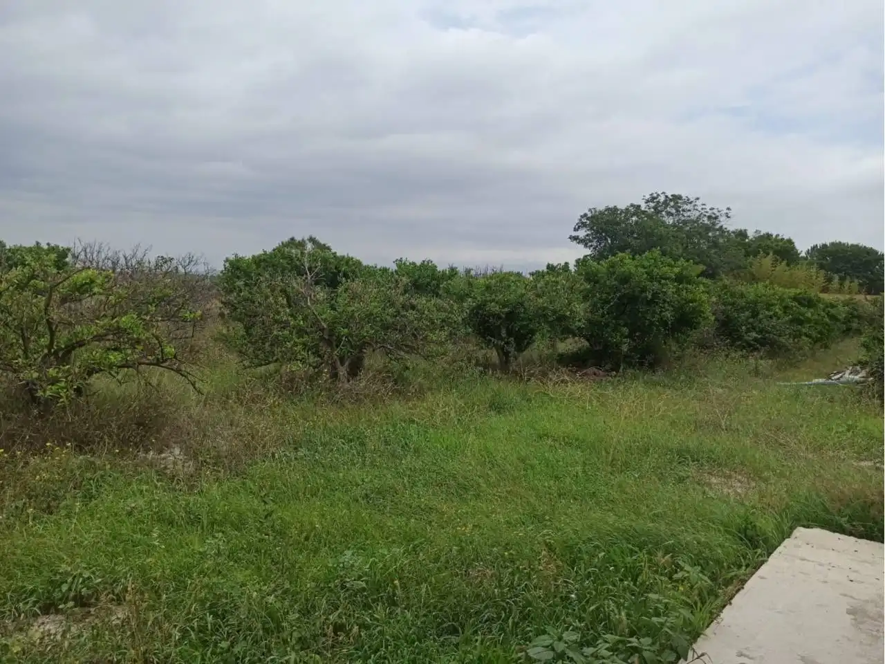 Casa o xalet en venda en San Rafael del Río amb Piscina
