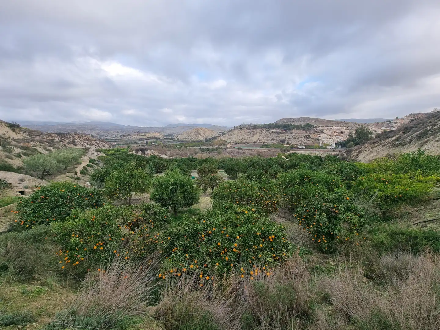 Rural land for sale in Calle Camino Ancho 4, imagen 27