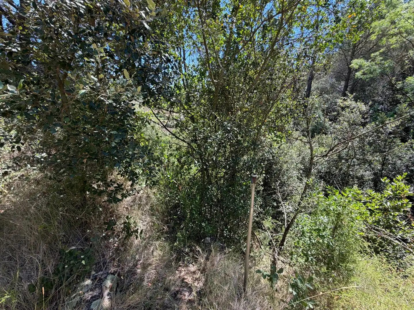Country house with pool for sale in Cami de La Pedrera, imagen 24
