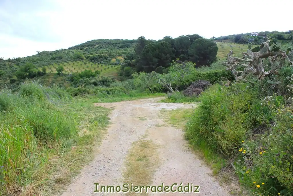 Casa rústica amb jardí en venda a Era de la Viña, imagen 6