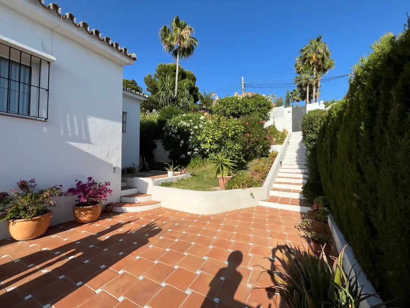 Jardí de Casa o xalet en venda en Marbella amb Aire condicionat i Piscina