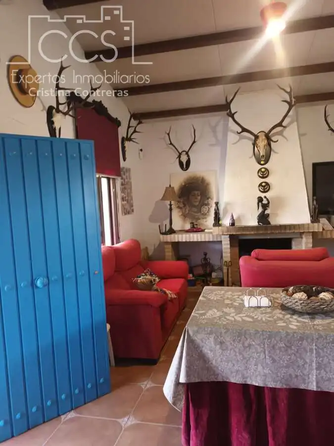 Casa rústica con jardín en venta en Almonte ciudad, imagen 10