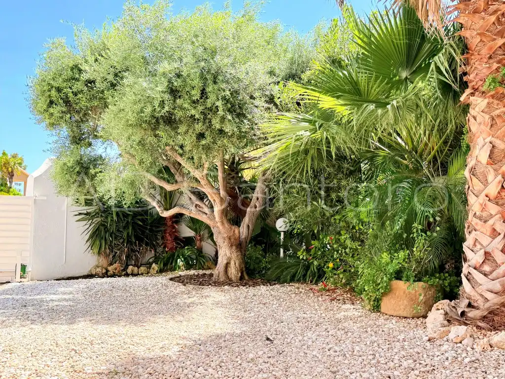 Jardí de Casa o xalet en venda en Sant Pere de Ribes