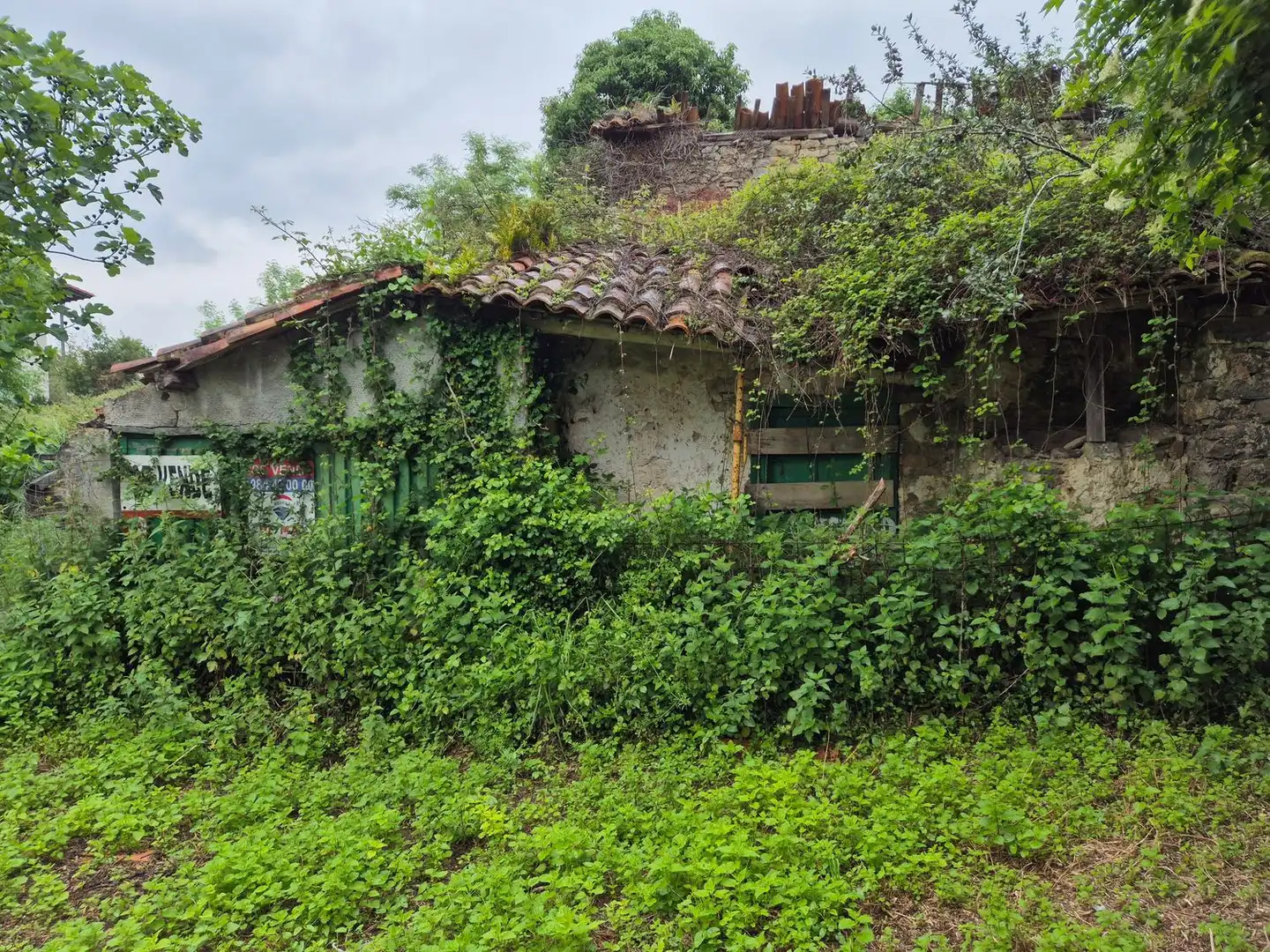 Vista exterior de Casa o xalet en venda en Villaviciosa amb Piscina