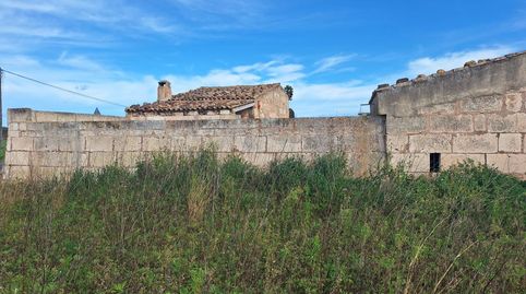 Foto 4 de Terreno en venta en Sa Pobla, Illes Balears