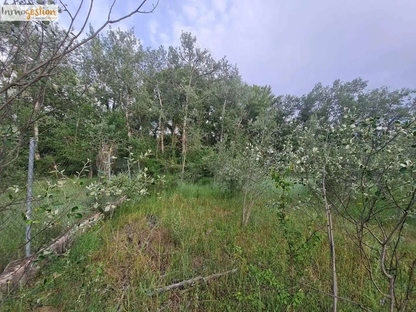 Terreno rustico in vendita a Tudela de Duero, imagen 6