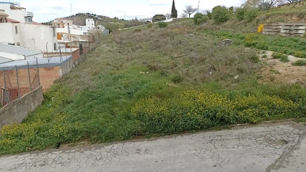 Terreni e lotti in vendita a Torredelcampo, imagen 2