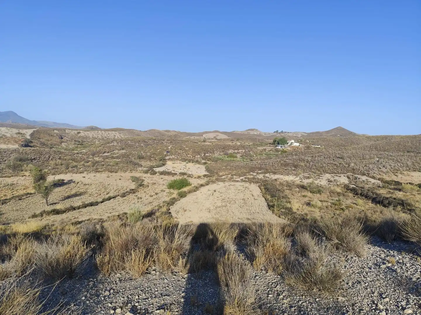 Terrains et parcelles à vendre à Pedanías Centro, imagen 17